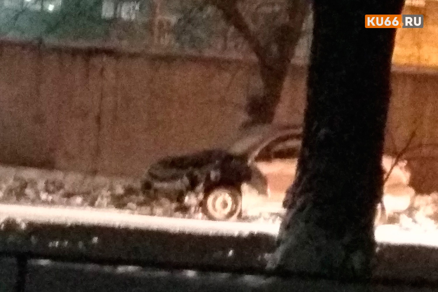 Не пострадал, видимо, лишь чудом: в Каменске-Уральском мужчина за рулем «Гранты» влетел во встречную фуру, а затем получил удар сзади...