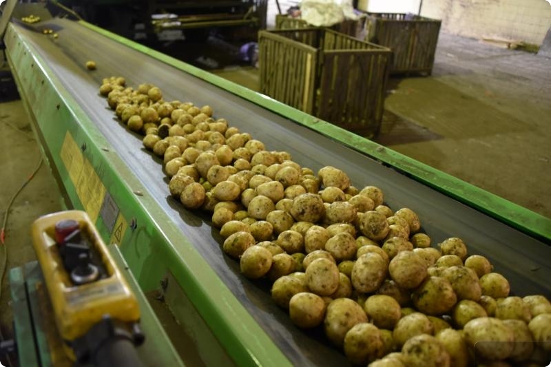 «Борщевой набор» уральцев подешевел более чем на треть