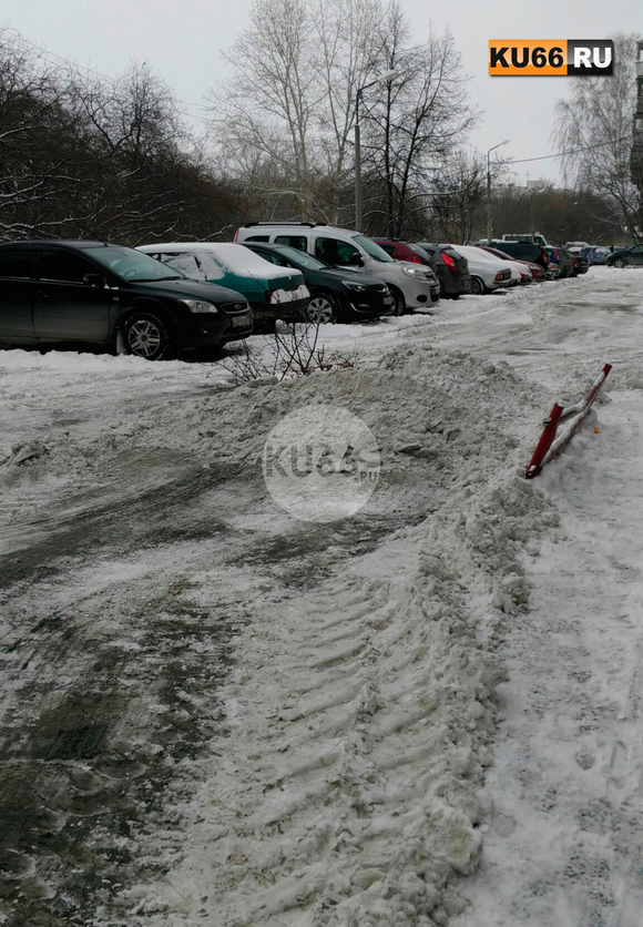 Тракторист в Каменске разгребал снег во дворе дома, случайно снес крышку люка, сломав ветки дерева. Но придумал, как выйти из ситуации. ФОТО