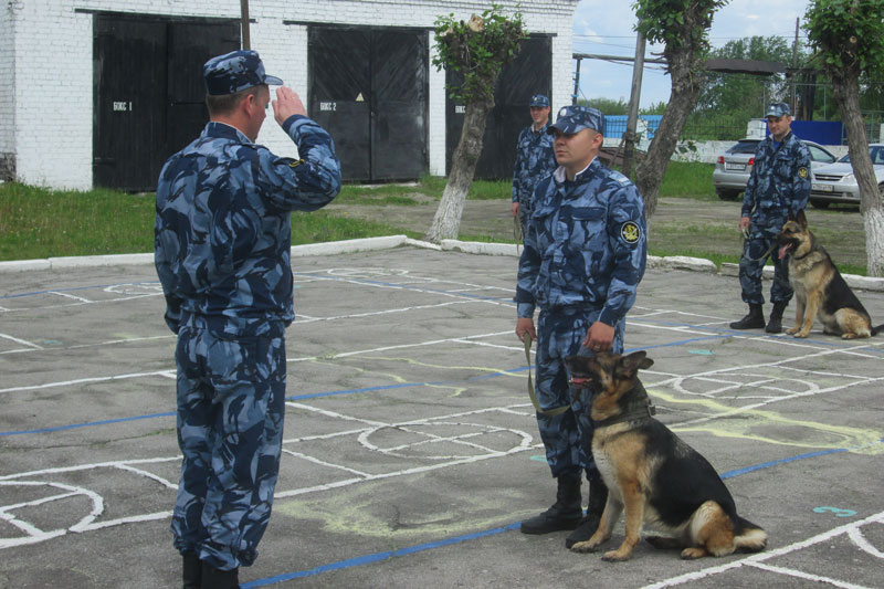 Верный друг на пенсии: служебная овчарка Альма отправляется на заслуженный отдых | В каменской ИК-47 готовятся проводить на отдых служебную овчарку Альму
