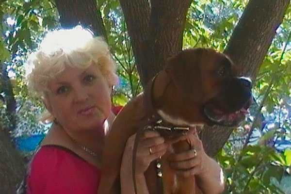 Бульдоги растерзали заводчицу под Новосибирском Бульдоги растерзали заводчицу под Новосибирском