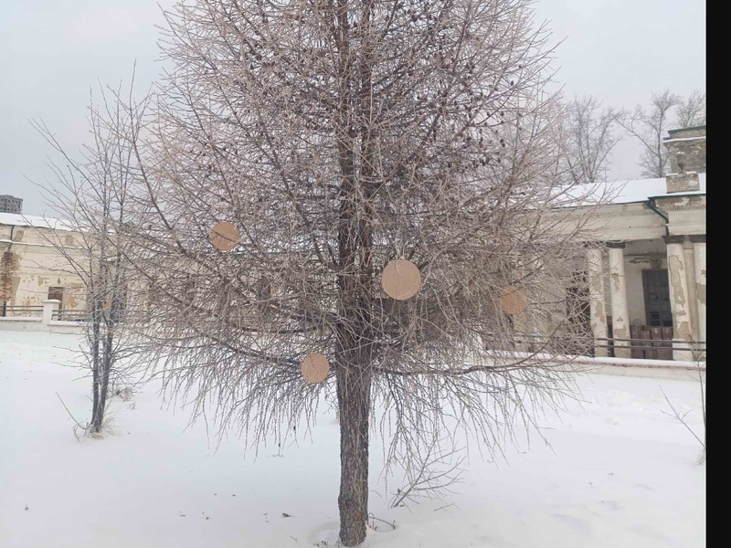 Соборную площадь в Старом Каменске украсят новогодней лиственницей с игрушками | Мастерская по созданию ёлочных игрушек откроется 28 декабря в Старом Каменске