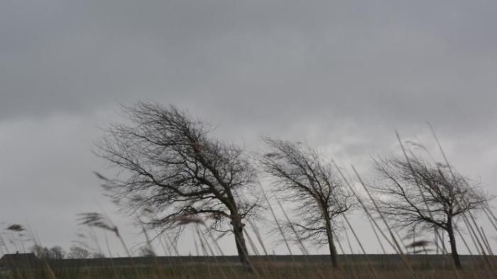 Синоптик рассказал, где похолодает до +4: погода в Свердловской области на начало недели | В Свердловской области 21 июля ожидается похолодание и кратковременные дожди