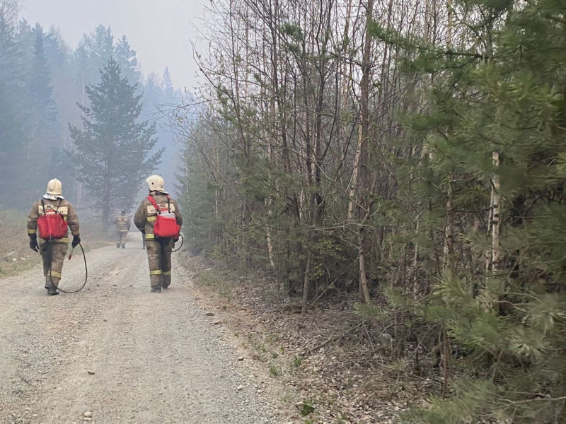 В Свердловской области действует 57 природных пожаров