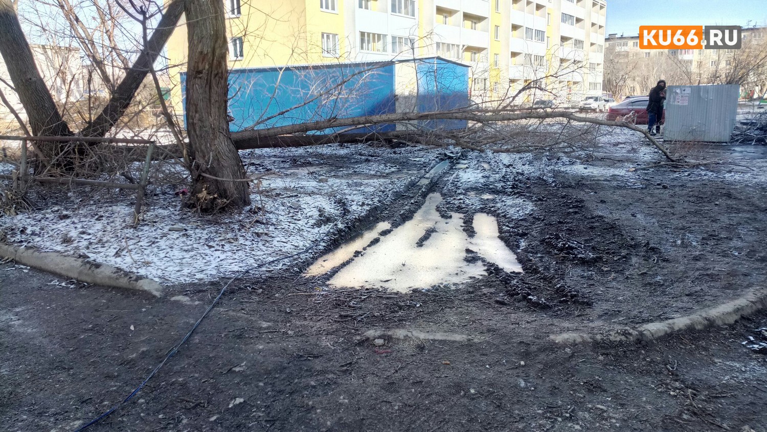 «Упала ива и оборвала провода на опоре». Энергетическая авария — в Каменске: во дворе дома по ул. Парковая провода оказались в луже