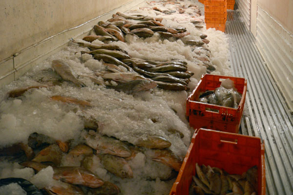 Кабмин предупредили о риске остановки перевозок скоропортящихся грузов