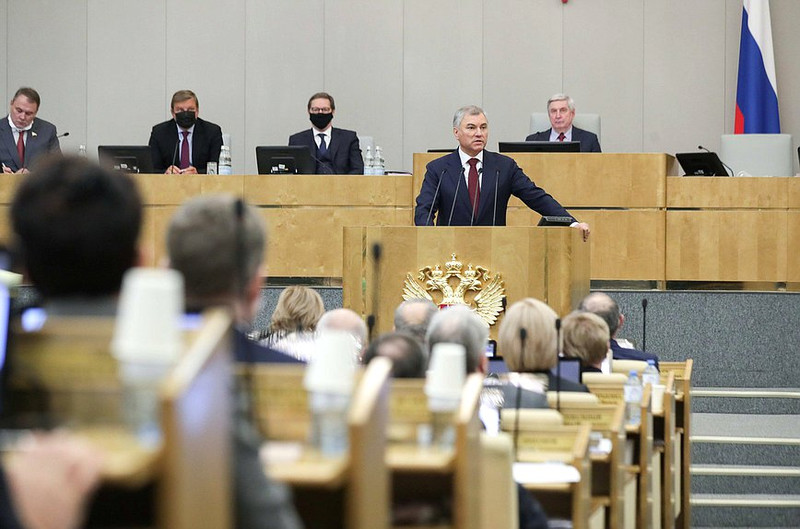 В Госдуме возмутились штрафу россиянке за крики во время побоев