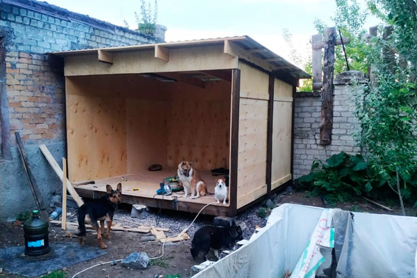 Приюту для бездомных животных «Бароша» необходима ваша помощь