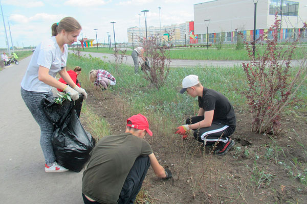 Дети в сквере Молодежный в Каменске-Уральском с утра полют траву и сорняки — помогают коммунальщикам и признаются, что опыт есть!