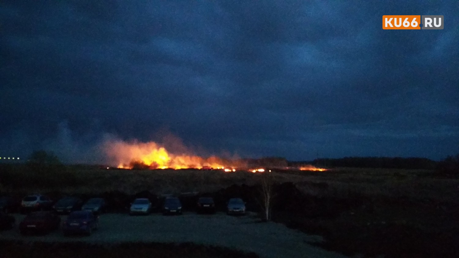 В условиях шквалистого ветра в Каменске-Уральском горит поле. Местные жители бьют тревогу: «Страшно, огонь большой, до леса дошел уже»