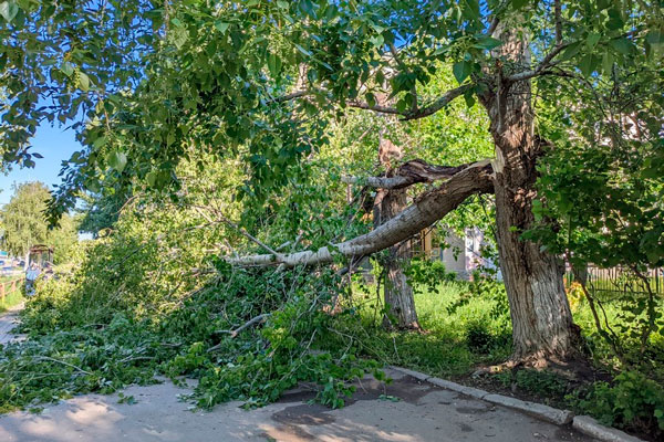 В Каменске-Уральском из-за непогоды зафиксировано немало повреждений. Сегодня ситуация может повториться...