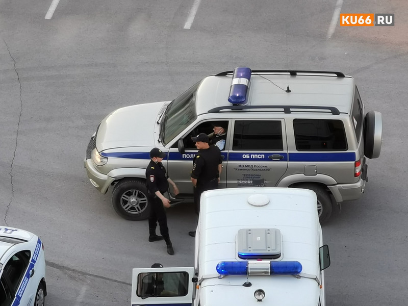 В Каменске-Уральском полицейские задержали безработного и ранее судимого мужчину, который похитил крышку с запасного колеса иномарки