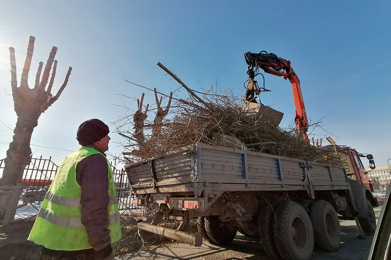 Пока не наступил период сокодвижения: до наступления тепла коммунальщикам в Каменске-Уральском надо обрезать и подровнять сотни деревьев