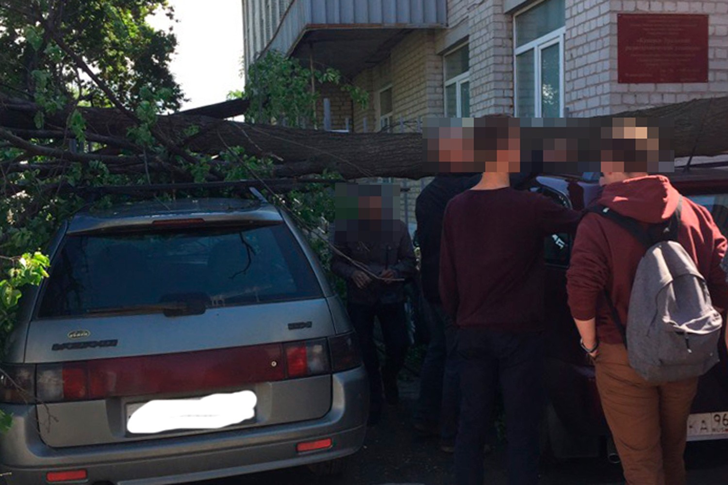 Непогода в Каменске: одно дерево рухнуло на три машины, другое — на детскую площадку, а жильцы домов по ул. Кунавина остались без света