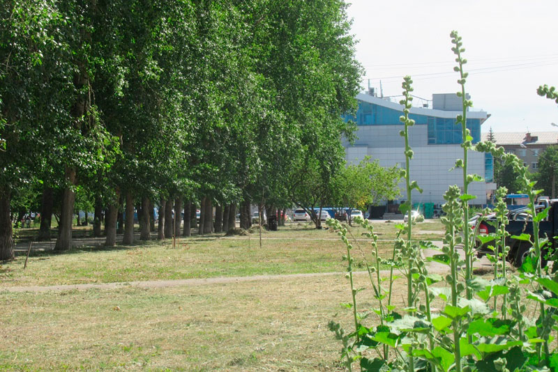 "Дуб зелёный", "Продолжение следует"... "Русал" профинансирует четыре проекта благоустройства в Каменске-Уральском. Где и что изменится?