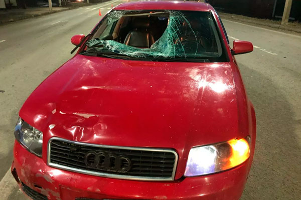 В Ленинградской области женщина сбила девочек на пешеходном переходе