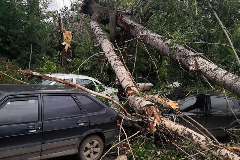 Ветер валит деревья, сносит заборы: прогноз МЧС сбылся - в Каменске-Уральском хозяйствует непогода. У СинТЗ тополь рухнул на пять машин!