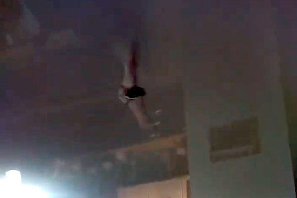 «Это же Бэтмен прилетел!». В квартиру жителя Каменска-Уральского залетела летучая мышь