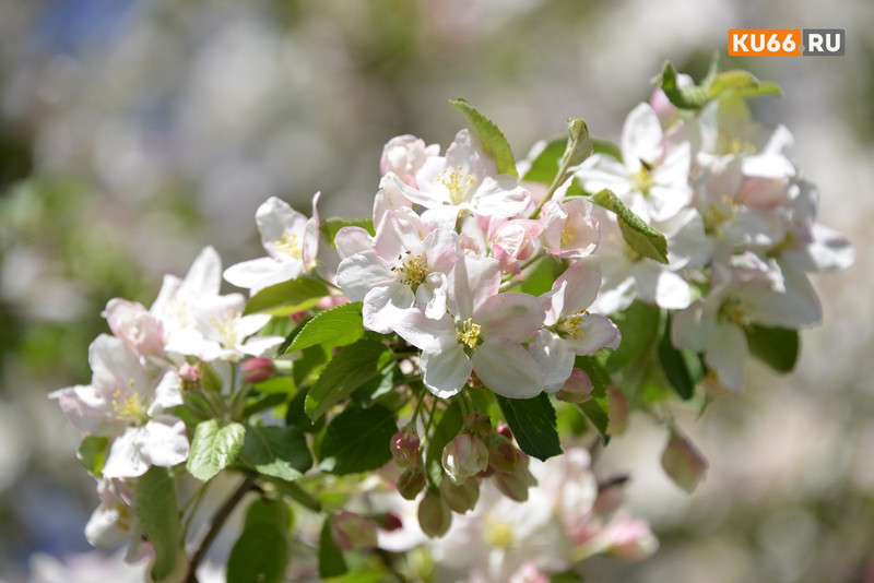 Россиянам напомнили о длинных выходных в начале мая