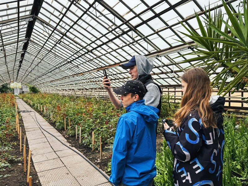 Помочь с профессией — доброе дело