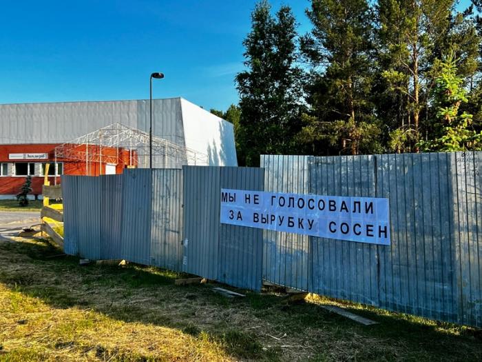 «Мы не голосовали за вырубку сосен»: каменцы выступили против вырубки сосен на Аллее Славы | Жители Каменска-Уральского выступили против вырубки сосен на Аллее Славы