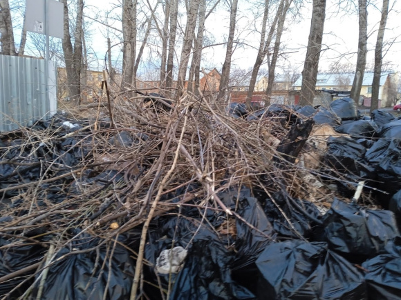 В Каменске-Уральском прибрали ещё одну заброшенную территорию
