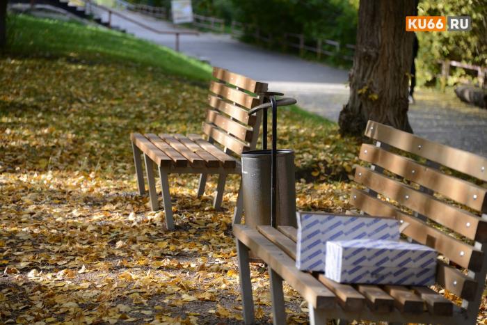 После холодных ночей — +20 днем: прогноз погоды в Свердловской области на неделю | Свердловскую область ждет теплая и сухая неделя