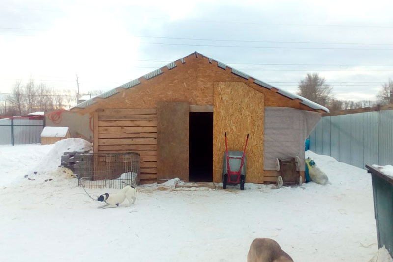 В собачий приют, где за животными организован «хороший уход», жителей Каменска-Уральского позвали на день открытых дверей — в эту субботу!