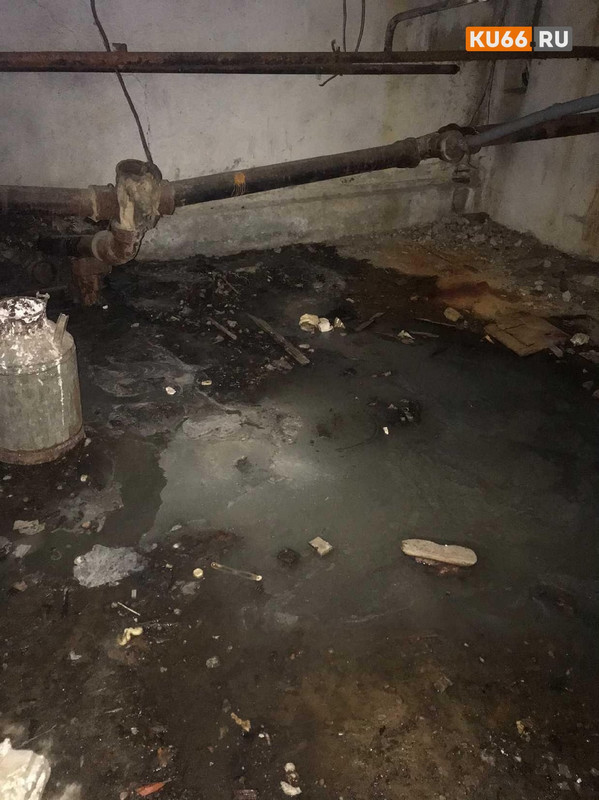 «Воняет жутко». В доме села Новоисетское Каменского района месяц назад прорвало трубу — в квартире над подвалом живет мать с двумя детьми