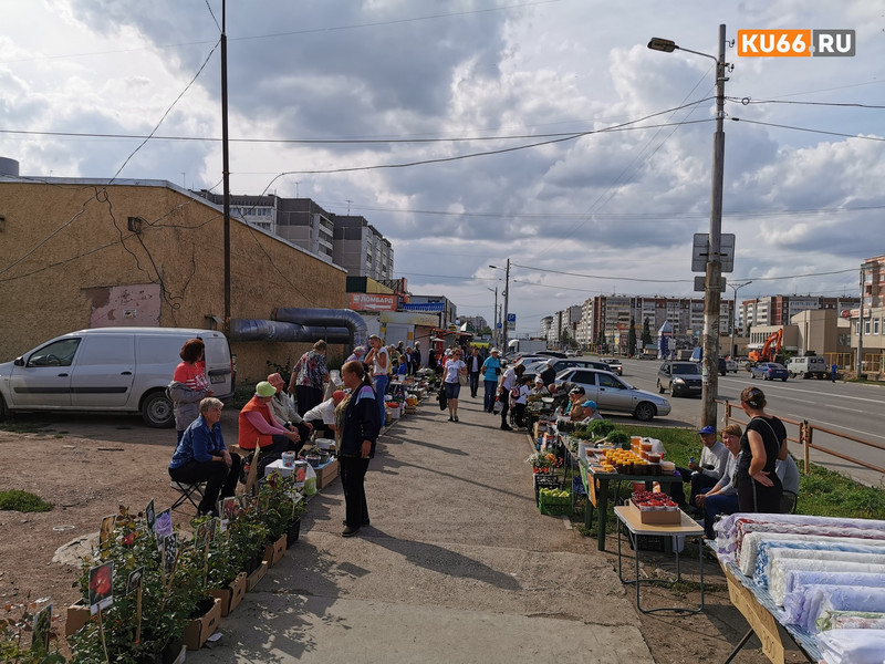 Две женщины, торгующие на мини-рынке в Каменске-Уральском, не поделили место и подрались — одна из них угодила в больницу с травмой головы