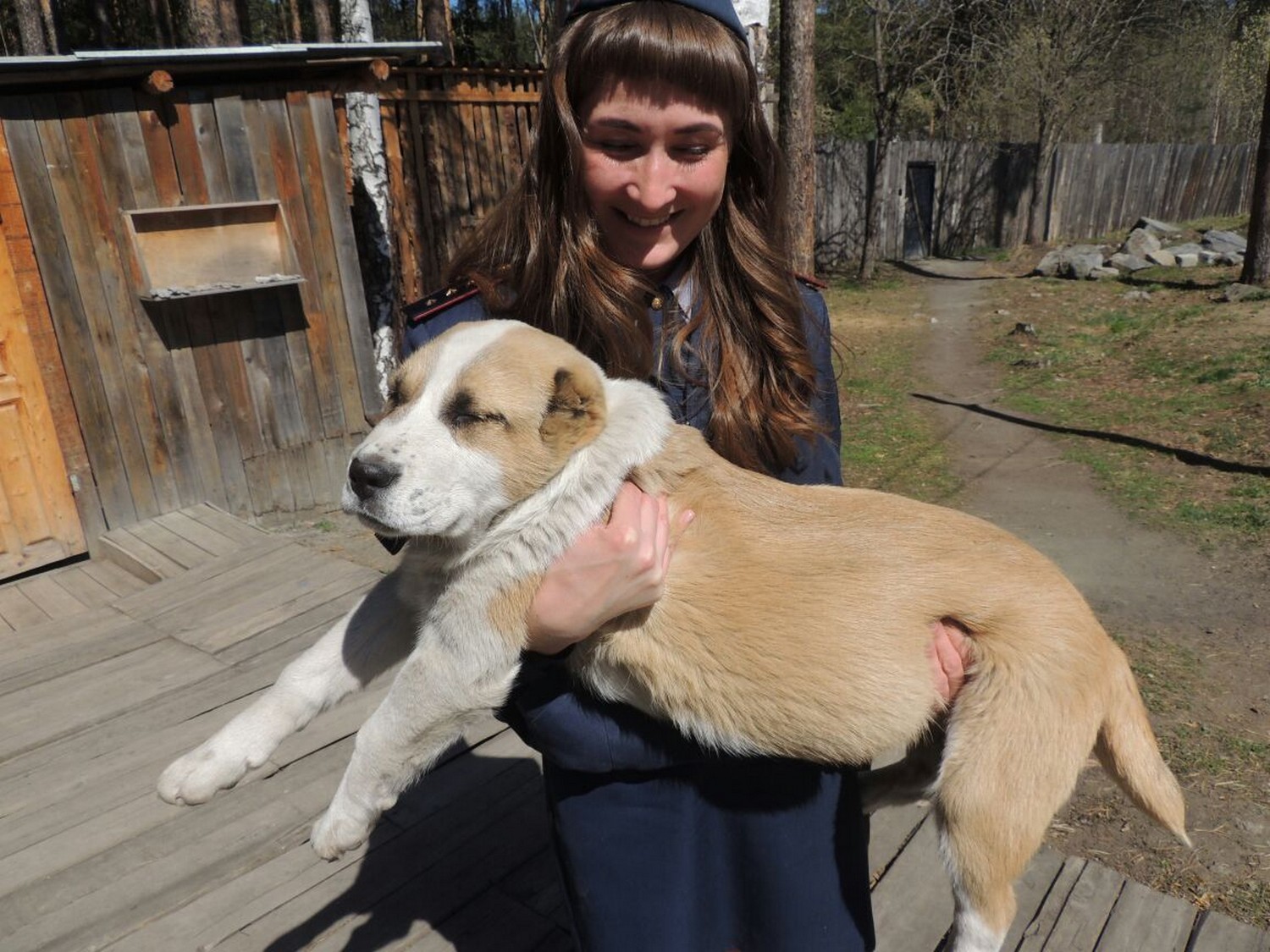 К кинологам в колонию Каменска-Уральского прибыло четвероногое «подкрепление» – щенки среднеазиатской овчарки