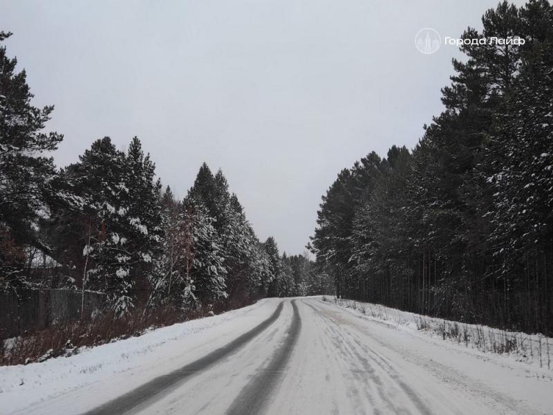 В Каменске-Уральском провели 348 рейдов по городским лесам | В Каменске-Уральском выявили 30 нарушений лесного законодательства