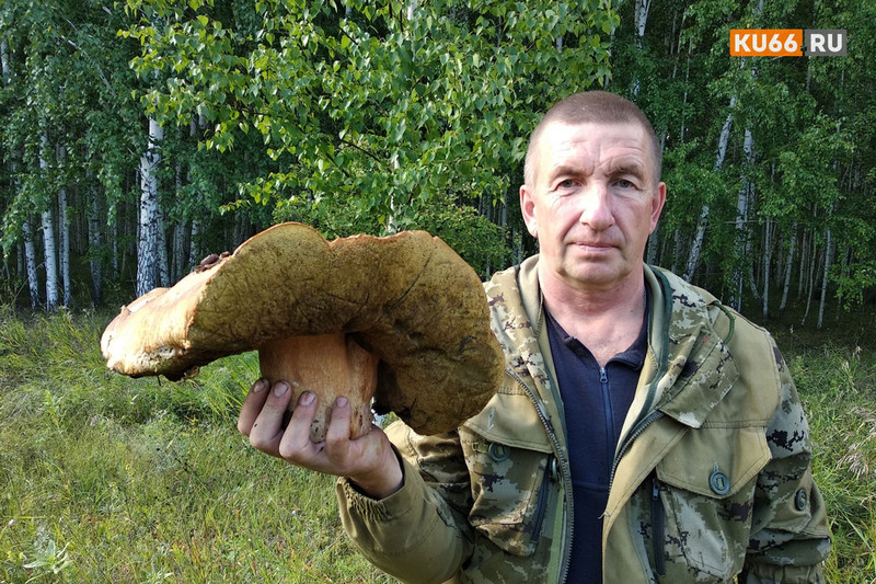 Народное состязание продолжается. Житель каменской деревни нашел белый гриб весом 2395 граммов