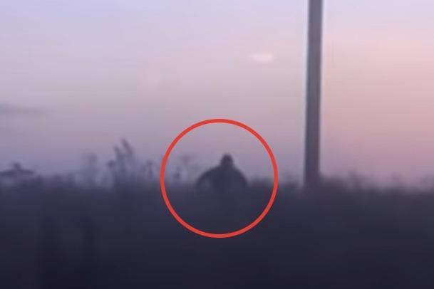 В Башкирию прибыли ученые для поиска следов снежного человека