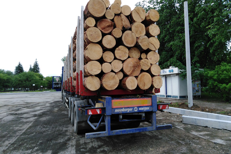 Черных лесорубов, водителей, паркующихся в водоохранной зоне и рыбаков, которые ловят сетями ищет полиция в ходе спецрейда в Каменске