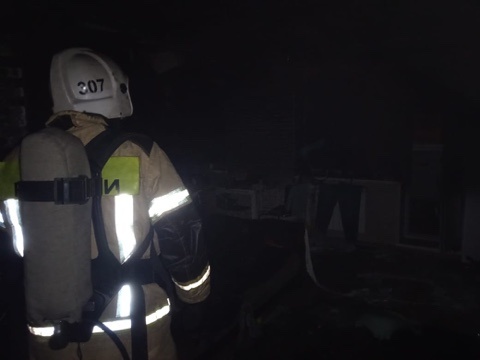 В Каменске-Уральском огнеборцы спасли людей из горящей девятиэтажки