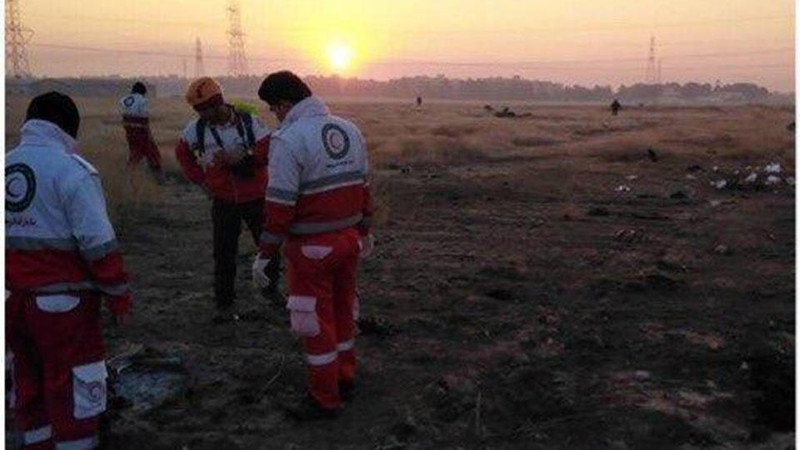 В Киеве призвали наказать Россию за сбитый Ираном Boeing