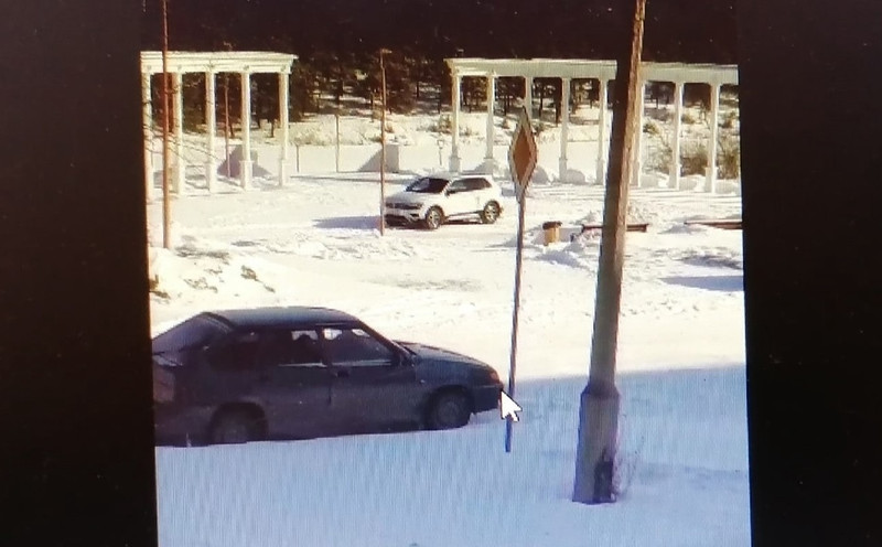 «Таких героев побывало двое». Каменские автолюбители ради удачного фото на благоустроенной Набережной проехали по газону с тюльпанами