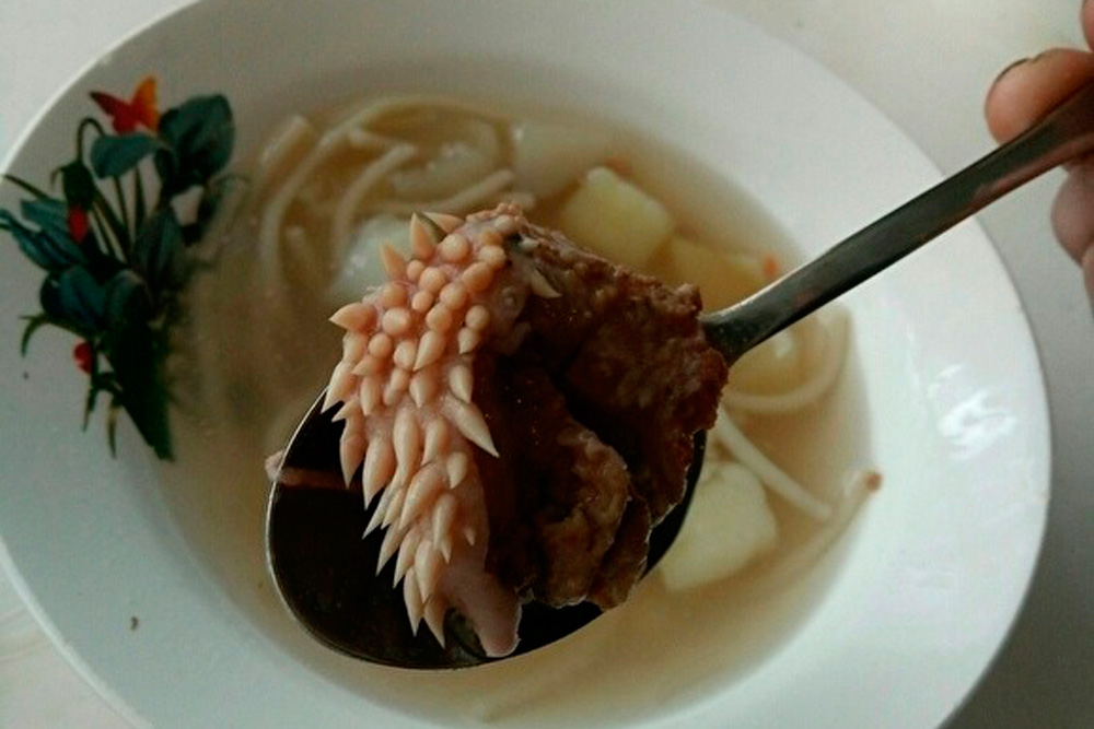 «Корм для собак». В Зауралье в школьном супе нашли странный кусок мяса с белыми отростками