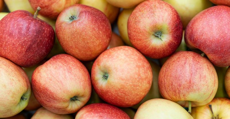 В Екатеринбург без уведомления ввезли 8 тонн яблок — Россельхознадзор вынес предупреждение | В Екатеринбург тайно привезли 8 тонн яблок из Дагестана