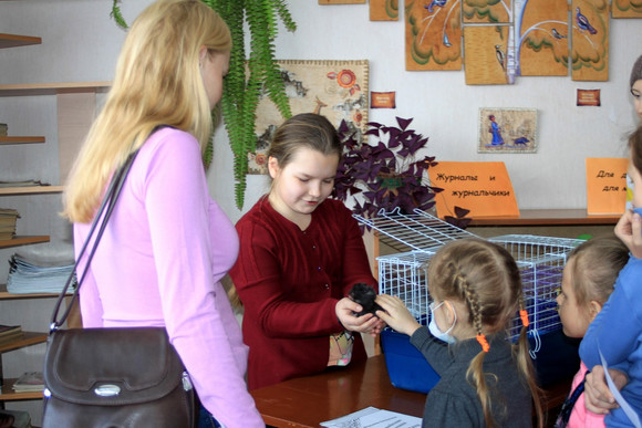 Улитки, кошки, кролик, йоркширский терьер, хаски и самоед выступили живыми экспонатами перед детьми в библиотеке в Каменске-Уральском