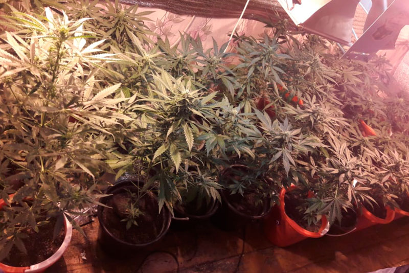 В Каменске-Уральском, как и на всей территории Свердловской области стартовала ОПМ «Притон» В Каменске-Уральском, как и на всей территории Свердловской области стартовала ОПМ «Притон»