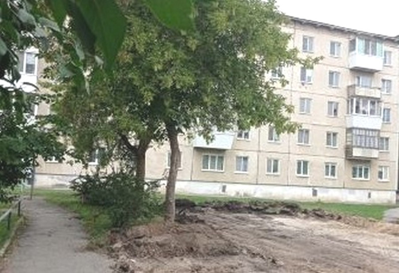 Сказано — сделано. Люди пожертвовали деревом во дворе дома в Каменске-Уральском, чтобы решить проблемы с парковочными местами