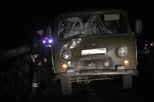 Под Каменском-Уральским в ДТП погиб пешеход