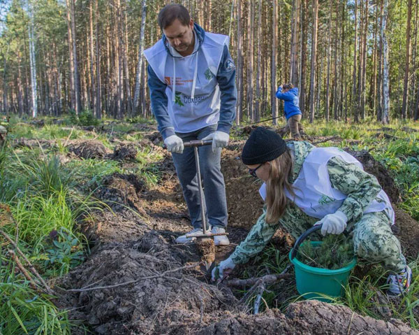 СинТЗ присоединился к Всероссийской акции «Сохраним лес»