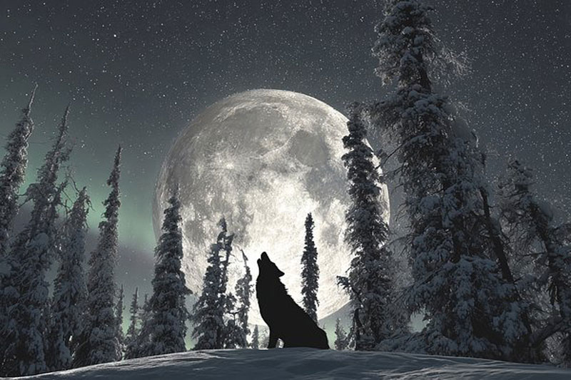 3 января над Землёй взойдёт суперполнолуние и яркий Юпитер | Волчья Луна и Юпитер: 3 января небо покажет редкое шоу