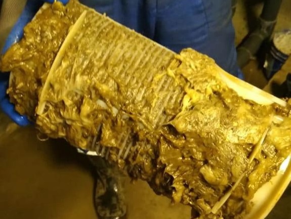 «Металла и собачьей шерсти не стало». И все же фото не для слабонервных: что попадает в фильтры фонтана на пл. Горького в Каменске-Уральском