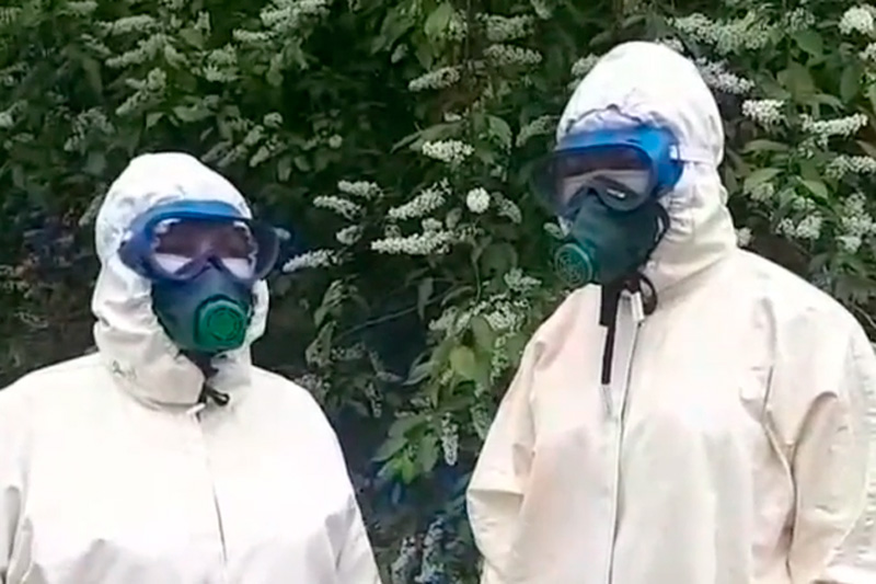 Медсестер из обсерватора в Бурятии закидали камнями