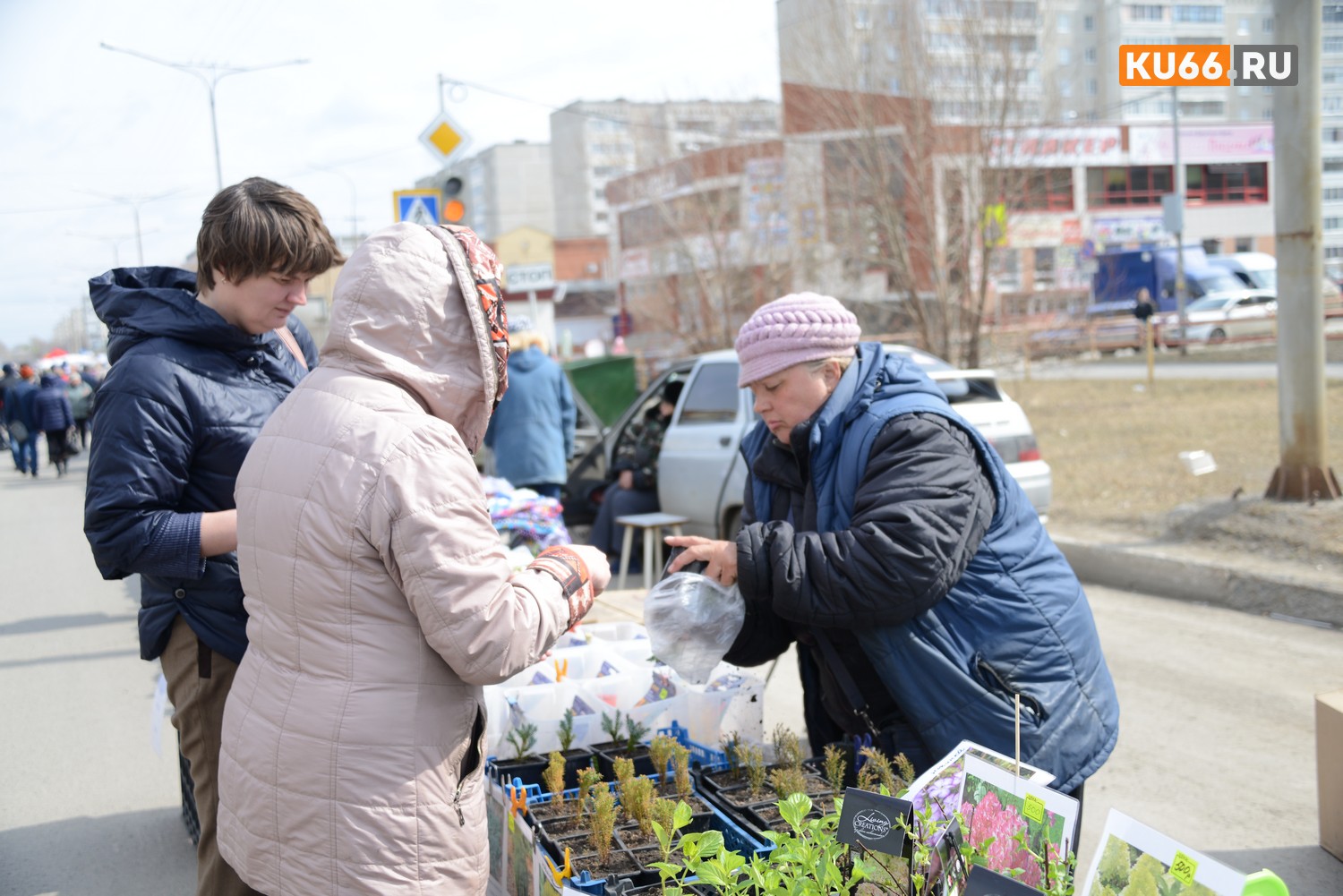 Больше сотни тысяч россиян остались без пенсии из-за работодателей. Они просто «забыли» о своих сотрудниках