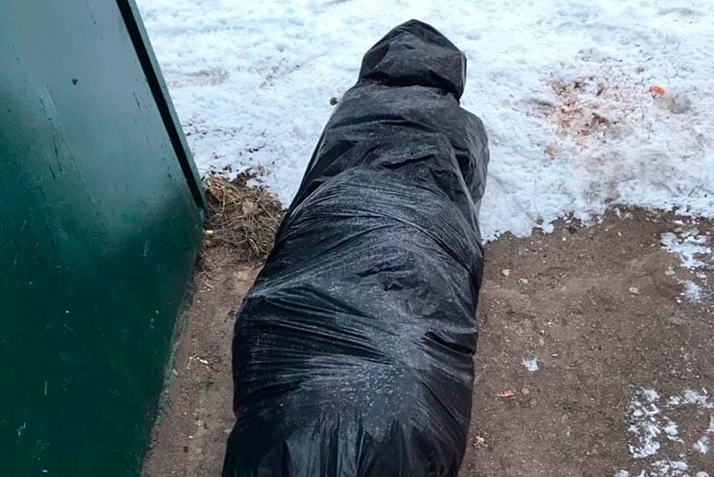 «Это труп елочки»: ставшую ненужной после встречи нового года лесную красавицу один из жителей Каменска-Уральского принял за тело человека